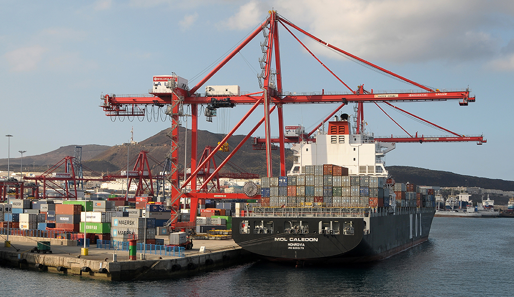 Grúas y buques de carga con contenedores en el puerto de Las Palmas